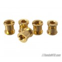Long aluminium chainring bolts gold color