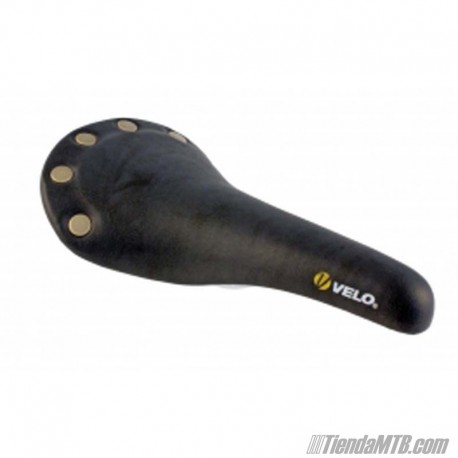 Fixed Saddle Black