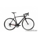 Carraro 955 EDGE SL Ultegra mec. 11s Carbon