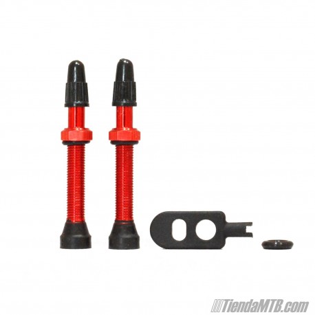 2 Light aluminium tubeless presta valves