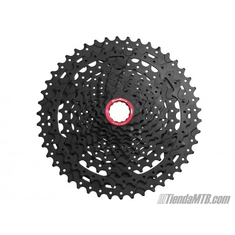 Cassette XD 10-46 11 velocidades Sunrace