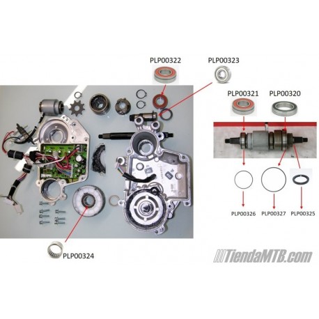 Panasonic ebike motor bearings