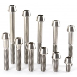 Lowde titanium screws