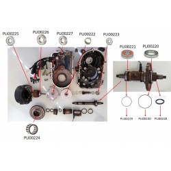 Impulse 2.0 ebike motor bearings