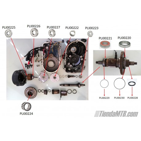 Rodamientos para motores Impulse 2.0