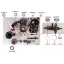 Rodamientos para motores Impulse 2.0