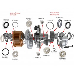 Bosch 4 ebike motor bearings (BDU4XX)