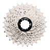 Casete de 10v 11-32T Sunrace