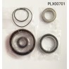 Yamaha PW-X & X2 ebike motor bearings