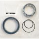 Yamaha PW-X & X2 ebike motor bearings