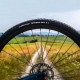 Vittoria Terreno Dry tire 700x38