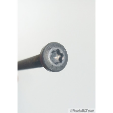 Tornillo para motor Brose Mag